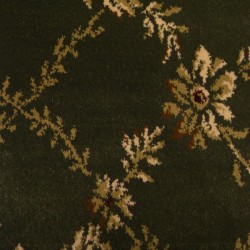 Sophie - Basil