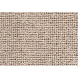 Telluride - Fawn