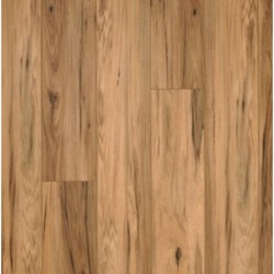 Timber Land - Gunstock