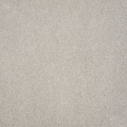 Grey Dove