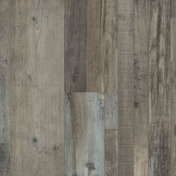Ancestry Oak