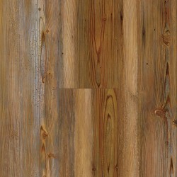 Cumberland Pine