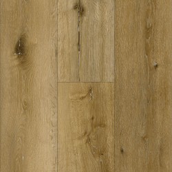 Northern White Oak