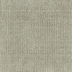 Fossil