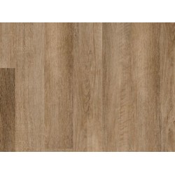 Brockport Oak