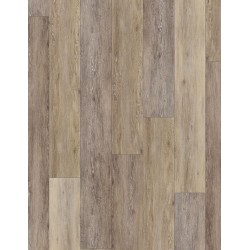 Twilight Oak