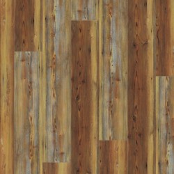 Appalachian Pine