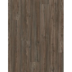 Keystone Pine