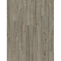 Bravado Pine