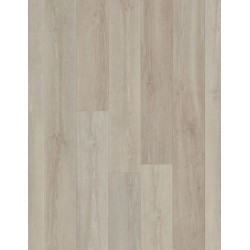 Spirit Oak