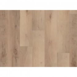 Madrid Oak