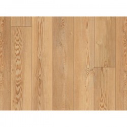Berlin Pine