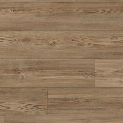 Pembroke Pine