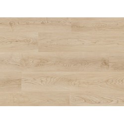 Shoreline Maple