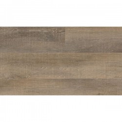 Laguna Beach Oak