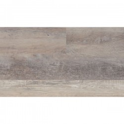 Caspian Oak