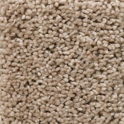 Tumbleweed color swatch