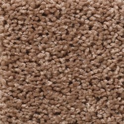 Meadowlark color swatch