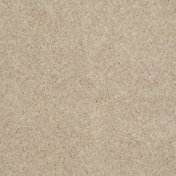 Project Beige