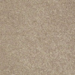 Weathered Wood