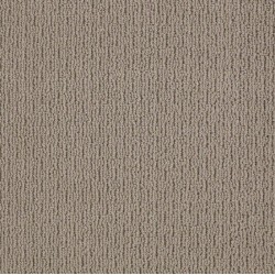 Simply Taupe