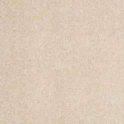 Chic Cream