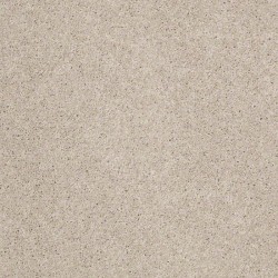 Cement