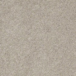 Silver Leaf