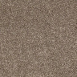 Simply Taupe