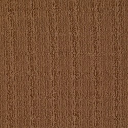 Modern Brown