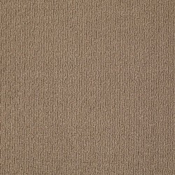 Saddle Blanket