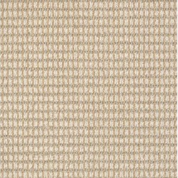 Timeless Taupe