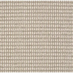 Chic Taupe