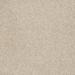 Chic Cream