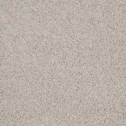 Cement