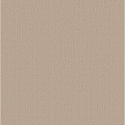 Brushed Ivory