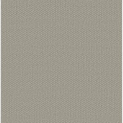 Stylish Gray