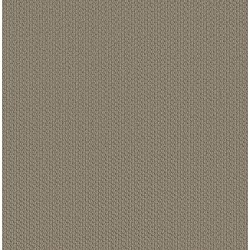 Taupe Tone