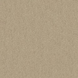 SOFTER TAN