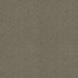 CITY GRAY