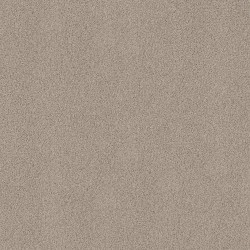 SMOKY SUEDE