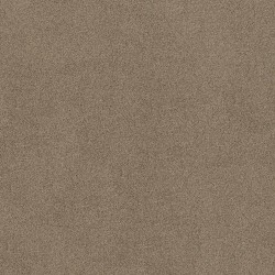 CARIBOU