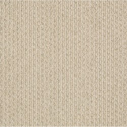 Chic Cream