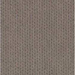 Simply Taupe