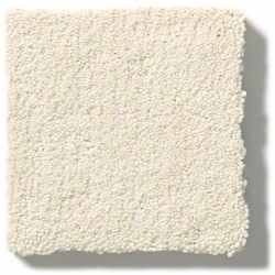 Soft Chamois