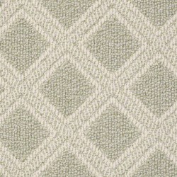 Soft Fern