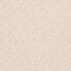 Barely Beige