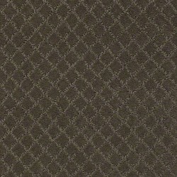 Overcoat