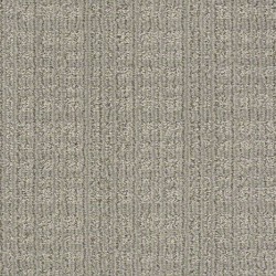 Backdrop