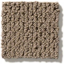 Homestead